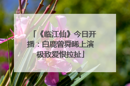 《临江仙》今日开播：白鹿曾舜晞上演极致爱恨拉扯