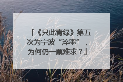 《只此青绿》第五次为宁波“淬墨”，为何仍一票难求？