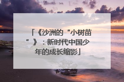 《沙洲的“小树苗”》：新时代中国少年的成长缩影