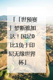 「世预赛」梦断雅加达！国足0比1负于印尼无缘世界杯