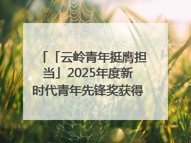 「云岭青年挺膺担当」2025年度新时代青年先锋奖获得者王敏奇——澜沧江上好渔人