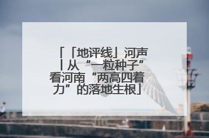 「地评线」河声丨从“一粒种子”看河南“两高四着力”的落地生根