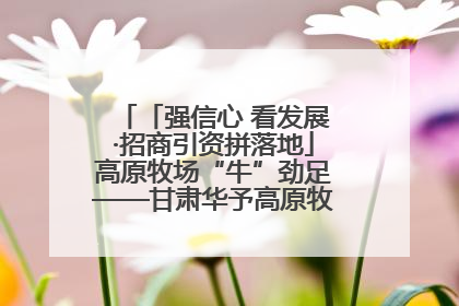 「强信心 看发展·招商引资拼落地」高原牧场“牛”劲足——甘肃华予高原牧场高标准奶牛肉牛养殖项目一线见闻