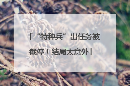 “特种兵”出任务被截停！结局太意外