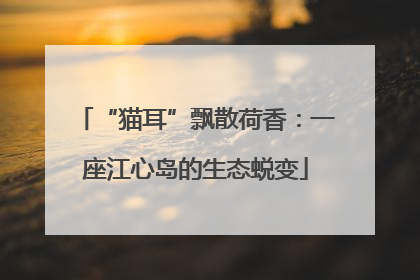 “猫耳”飘散荷香：一座江心岛的生态蜕变