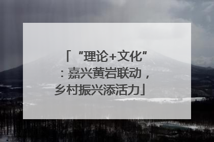 “理论+文化”：嘉兴黄岩联动，乡村振兴添活力