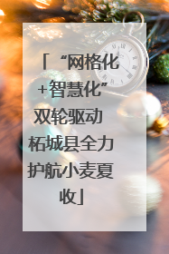 “网格化+智慧化”双轮驱动 柘城县全力护航小麦夏收