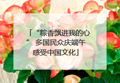 “粽香飘进我的心” 多国民众庆端午感受中国文化