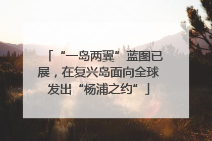 “一岛两翼”蓝图已展，在复兴岛面向全球发出“杨浦之约”