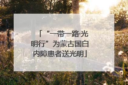 “一带一路·光明行”为蒙古国白内障患者送光明