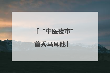 “中医夜市”首秀马耳他
