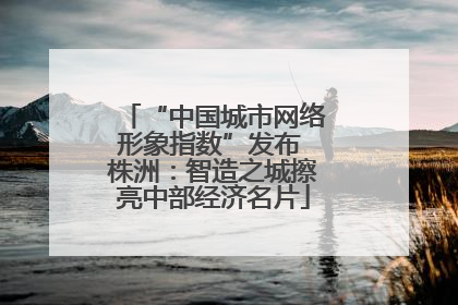“中国城市网络形象指数”发布 株洲：智造之城擦亮中部经济名片