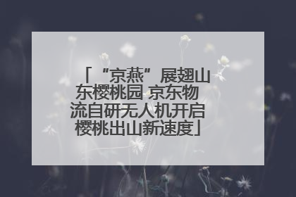 “京燕”展翅山东樱桃园 京东物流自研无人机开启樱桃出山新速度