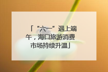 “六一”遇上端午，海口旅游消费市场持续升温