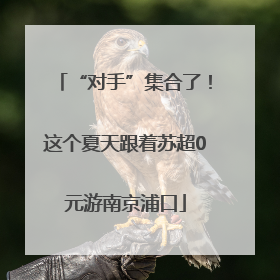 “对手”集合了！这个夏天跟着苏超0元游南京浦口
