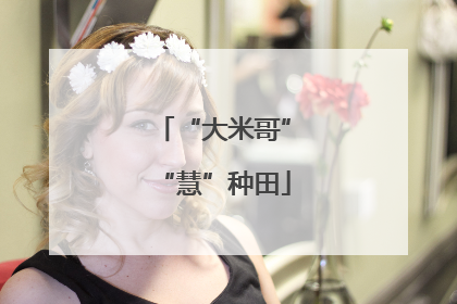 “大米哥”“慧”种田