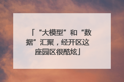 “大模型”和“数据”汇聚，经开区这座园区很酷炫