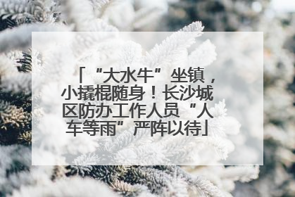 “大水牛”坐镇，小撬棍随身！长沙城区防办工作人员“人车等雨”严阵以待