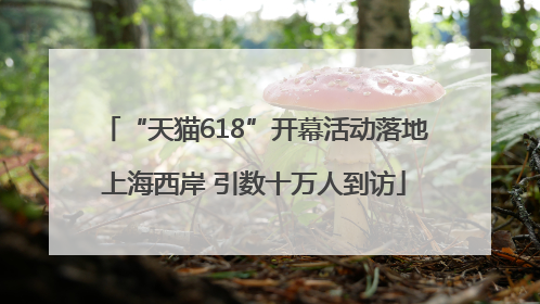 “天猫618”开幕活动落地上海西岸 引数十万人到访