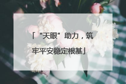 “天眼”助力，筑牢平安稳定根基