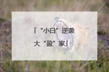 “小白”逆袭大“盈”家