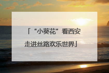 “小葵花”看西安走进丝路欢乐世界