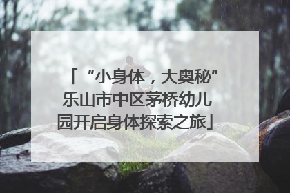 “小身体，大奥秘” 乐山市中区茅桥幼儿园开启身体探索之旅