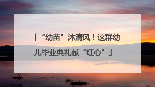 “幼苗”沐清风！这群幼儿毕业典礼献“红心”