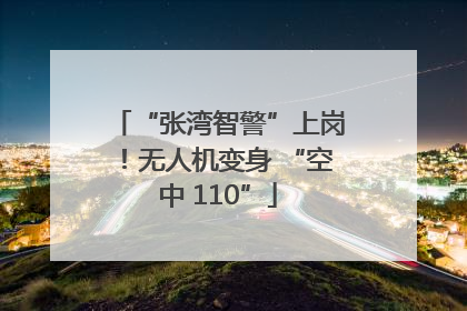 “张湾智警”上岗！无人机变身 “空中 110”