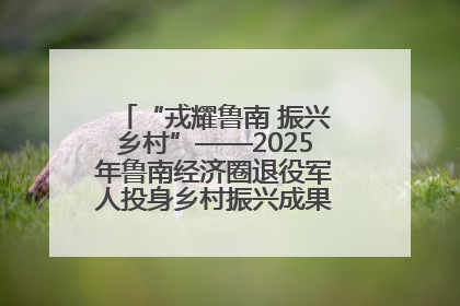 “戎耀鲁南 振兴乡村”——2025年鲁南经济圈退役军人投身乡村振兴成果展销会盛大启幕