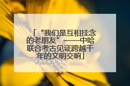 “我们是互相挂念的老朋友”——中哈联合考古见证跨越千年的文明交响