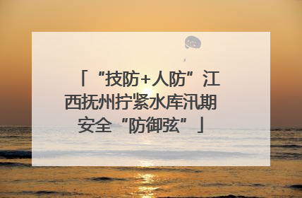 “技防+人防”江西抚州拧紧水库汛期安全“防御弦”