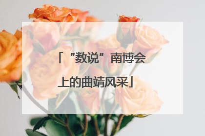 “数说”南博会上的曲靖风采