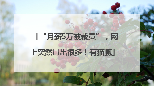 “月薪5万被裁员”，网上突然冒出很多！有猫腻