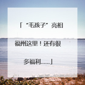 “毛孩子”亮相福州这里！还有很多福利……