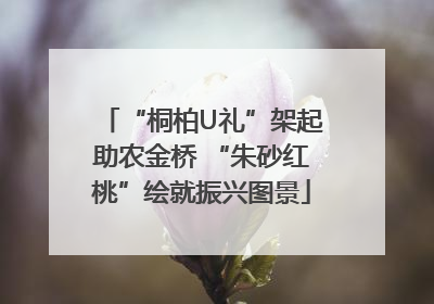 “桐柏U礼”架起助农金桥 “朱砂红桃”绘就振兴图景