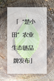 “楚小田”农业生态链品牌发布