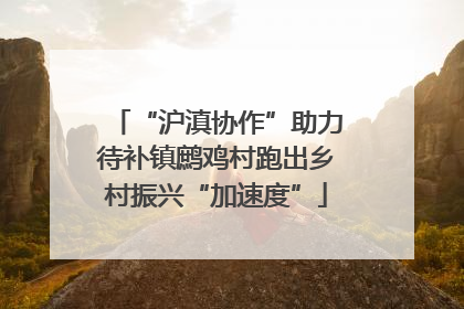 “沪滇协作”助力待补镇鹧鸡村跑出乡村振兴“加速度”