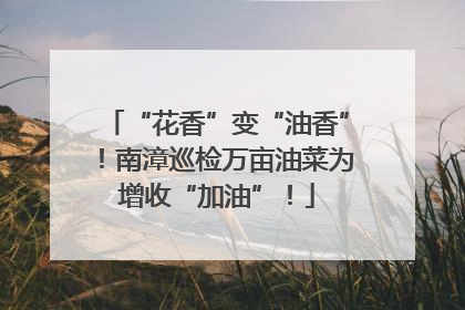 “花香”变“油香”！南漳巡检万亩油菜为增收“加油”！