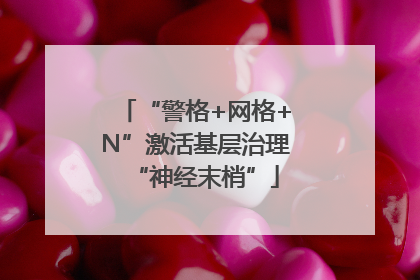 “警格+网格+N”激活基层治理“神经末梢”