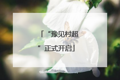 “豫见村超”正式开启