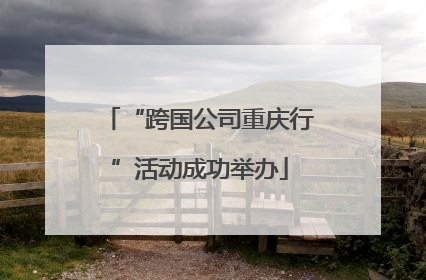 “跨国公司重庆行”活动成功举办