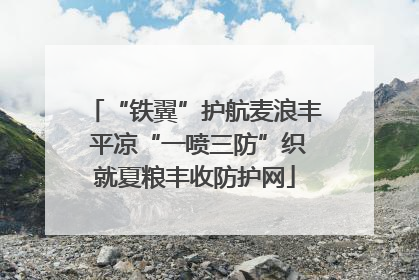 “铁翼”护航麦浪丰 平凉“一喷三防”织就夏粮丰收防护网