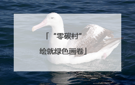 “零碳村” 绘就绿色画卷