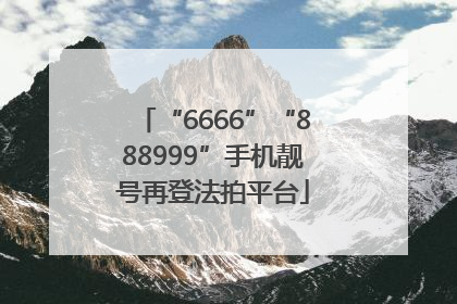“6666”“888999”手机靓号再登法拍平台