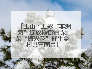 玉山：五彩“非洲菊”绽放横街镇 朵朵“振兴花”催生乡村共富图景