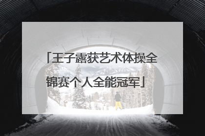 王子露获艺术体操全锦赛个人全能冠军