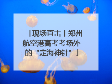 现场直击丨郑州航空港高考考场外的“定海神针”