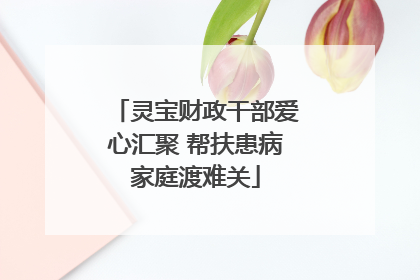 灵宝财政干部爱心汇聚 帮扶患病家庭渡难关