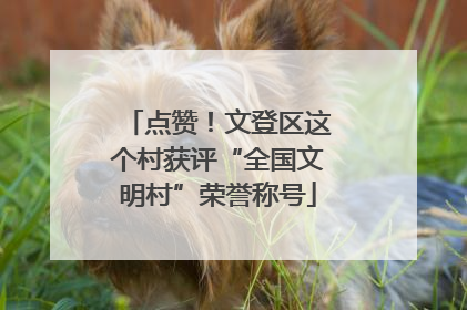 点赞！文登区这个村获评“全国文明村”荣誉称号